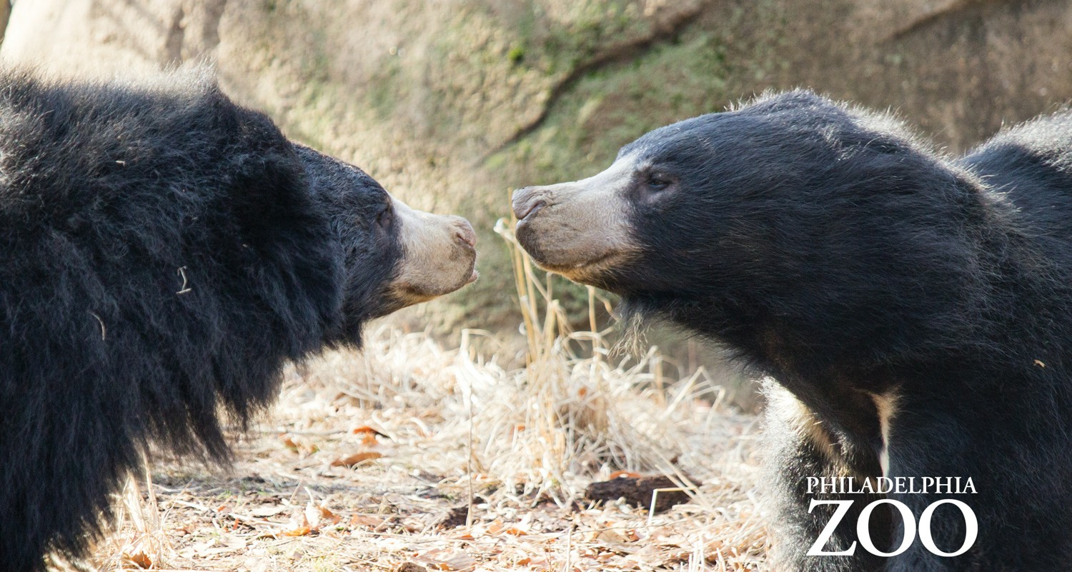 Gift Cards — Philadelphia Zoo