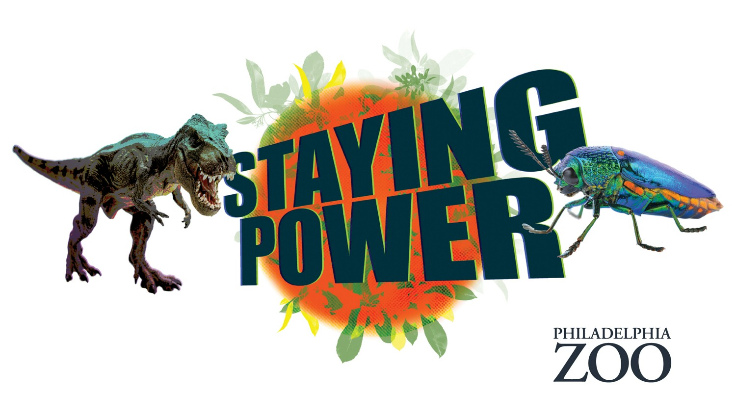 Staying Power — Philadelphia Zoo